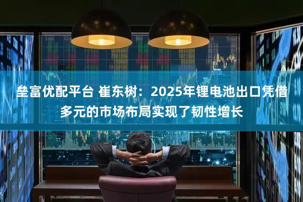 垒富优配平台 崔东树：2025年锂电池出口凭借多元的市场布局实现了韧性增长