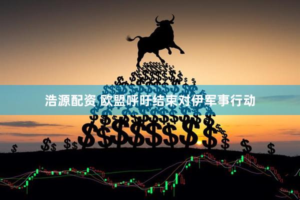 浩源配资 欧盟呼吁结束对伊军事行动