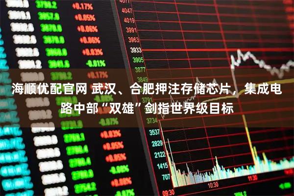 海顺优配官网 武汉、合肥押注存储芯片，集成电路中部“双雄”剑指世界级目标